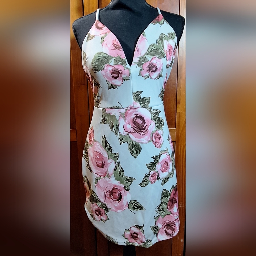 BLUE BLUSH Floral Sleeveless Dress